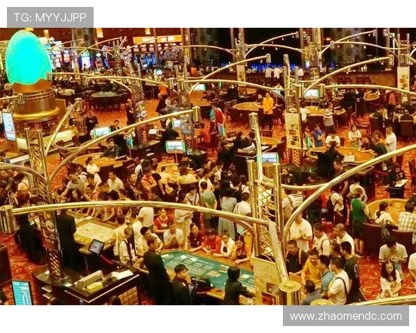 新葡京娱乐场app官方最新版免费下载，体验最专业的线上博彩服务