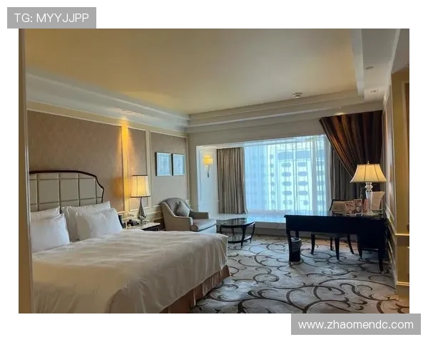 澳门凯旋门600：澳门凯旋门600的维护与保护措施，确保其永续传承