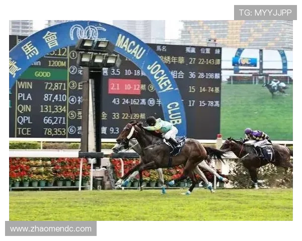 澳门赛马官网历史回顾，澳门赛马的发展历程与经典赛事回顾