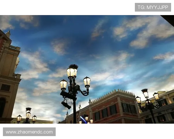 通过澳门威尼斯商人官网了解丰富的娱乐项目与表演安排尽情享受假日时光